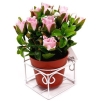 Декоративная композиция "Цветы в горшочке на подставке", цвет: розовый, 16 см Производитель: Великобритания Артикул: FF NX104KV инфо 7274v.