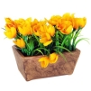 Декоративная композиция "Тюльпаны в горшочке", цвет: оранжевый, 12 см оранжевый Производитель: Великобритания Артикул: NX86KZ инфо 7295v.