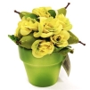 Декоративная композиция "Цветы и фрукты в горшочке", цвет: желто-зеленый, 12 см желто-зеленый Производитель: Великобритания Артикул: NX0405GN инфо 7359v.