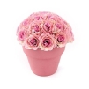 Декоративная композиция "Розы в горшочке", цвет: розовый, 11 см Производитель: Великобритания Артикул: FF NX0403KR инфо 7374v.