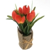 Декоративная композиция "Тюльпаны в горшочке", цвет: красный, 20 см Производитель: Великобритания Артикул: FF NX0458KA инфо 7383v.