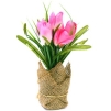Декоративная композиция "Тюльпаны в горшочке", цвет: розовый, 20 см Производитель: Великобритания Артикул: FF NX0458KA инфо 7392v.